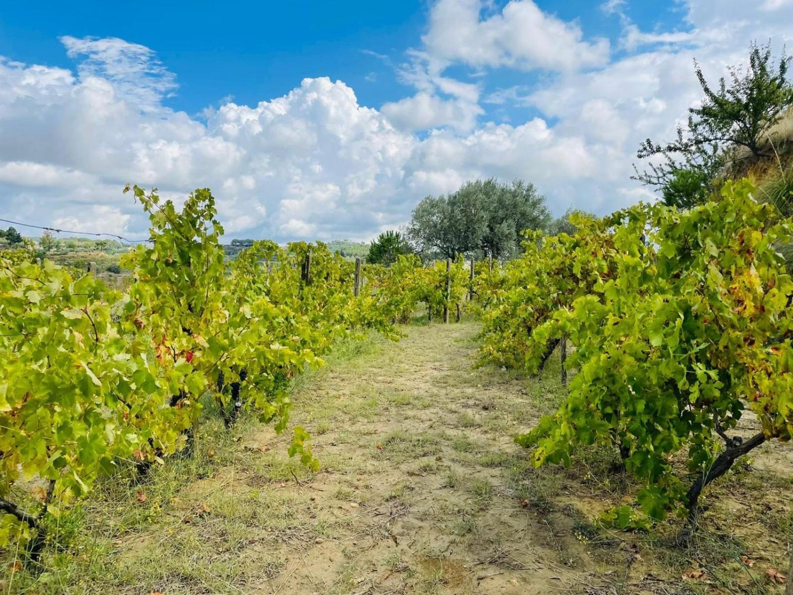 Agriresort Villa Bentivoglio Piazza Armerina Bagian luar foto