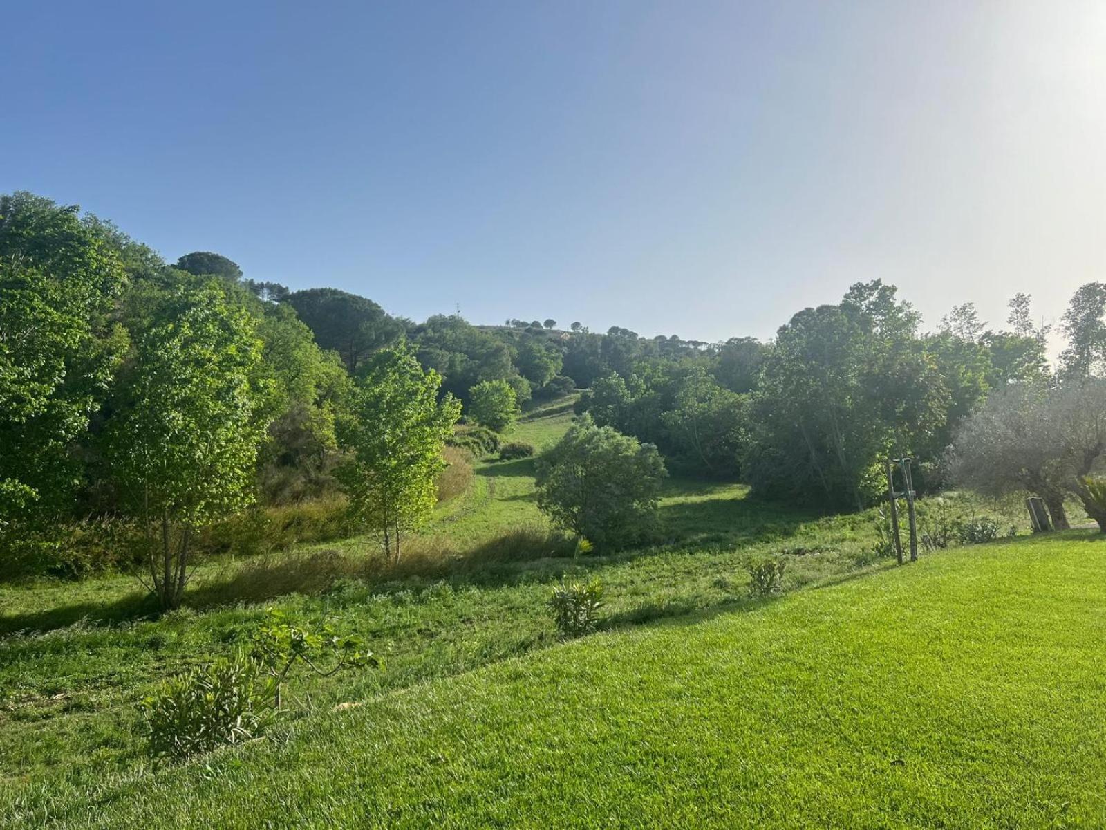 Agriresort Villa Bentivoglio Piazza Armerina Bagian luar foto