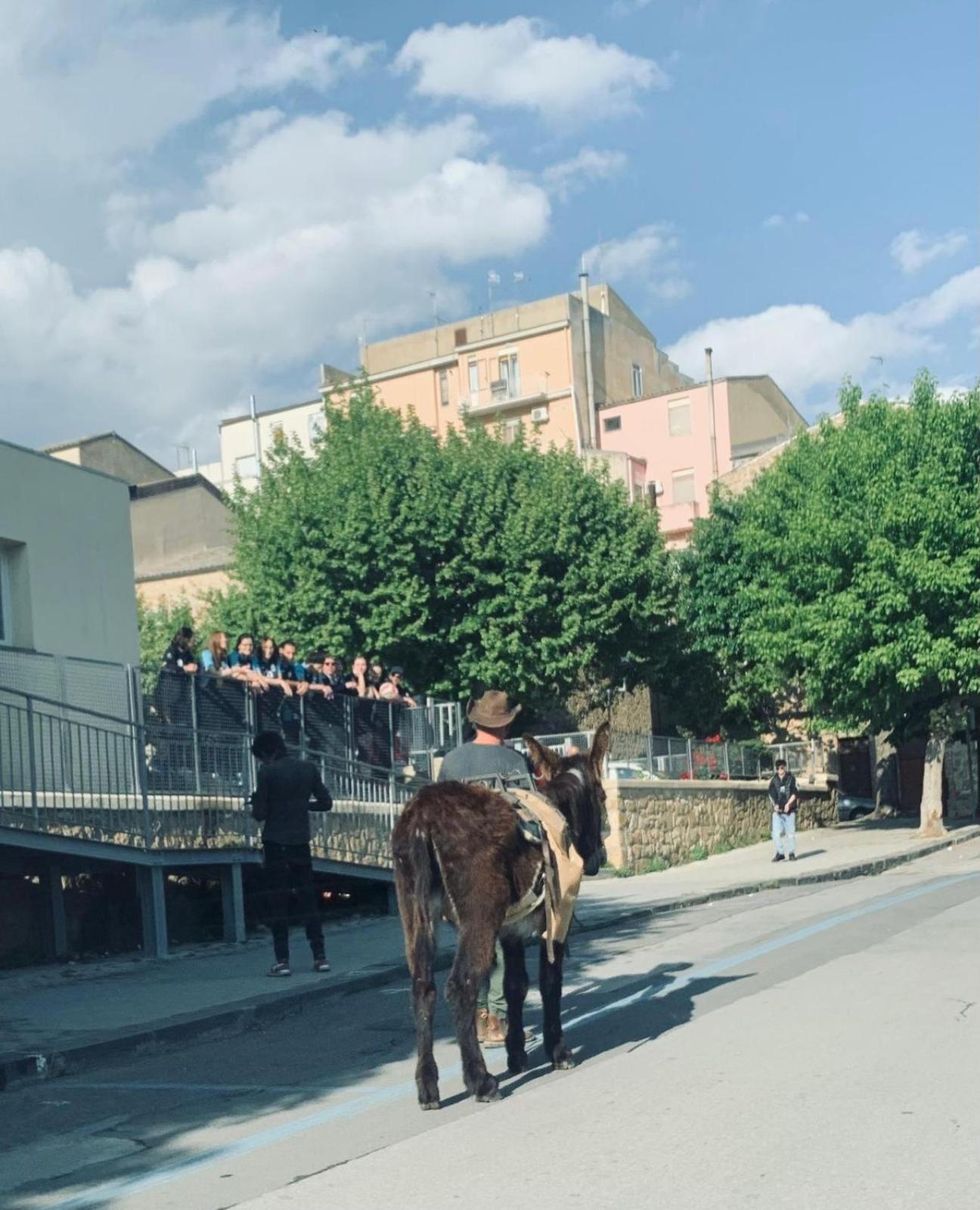 Agriresort Villa Bentivoglio Piazza Armerina Bagian luar foto